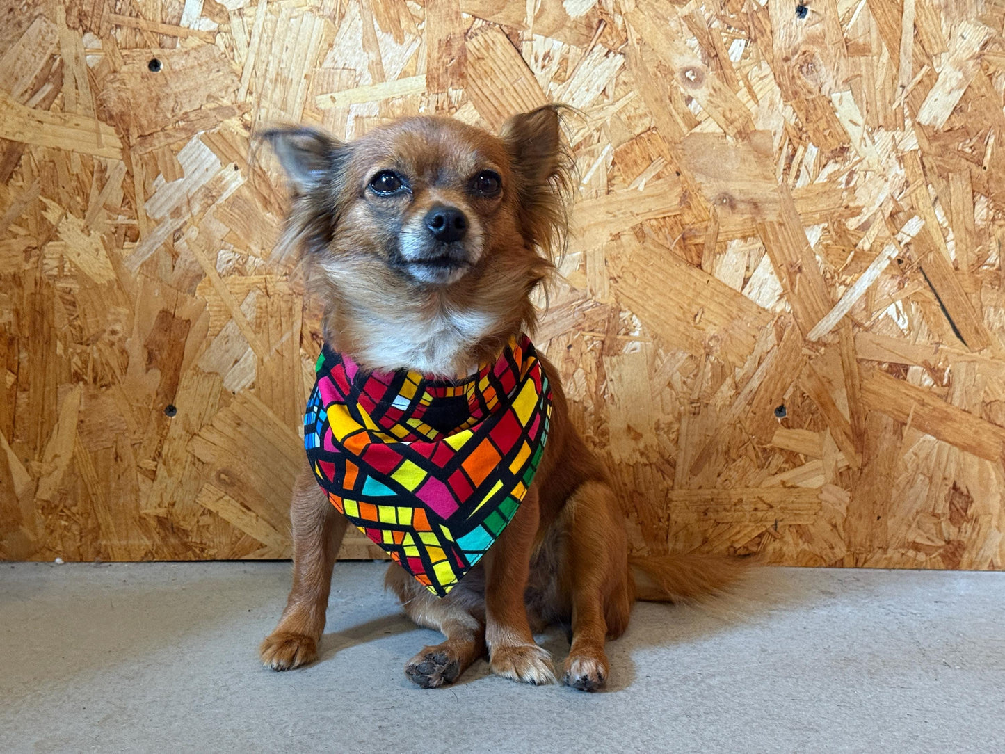 African Print Pet Bandana